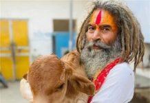 मथुरा में गोरक्षक की हत्या, योगी ने कड़ी कार्रवाई के दिए निर्देश