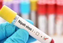 बंगाल में निपाह वायरस (Nipah Virus) के संदिग्ध मामले: स्वास्थ्य मंत्रालय अलर्ट मोड पर, केंद्र ने दिया पूर्ण राज्य सहयोग का कड़ा आश्वासन!